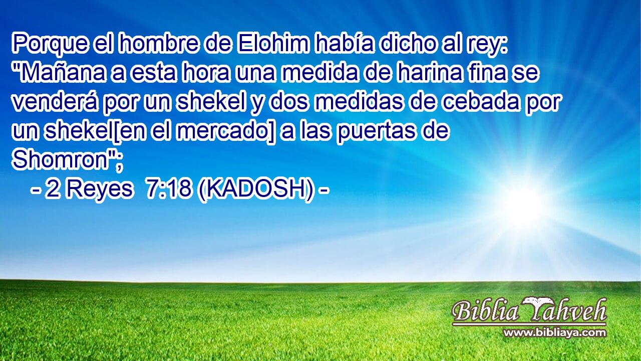  Porque el hombre de Elohim había dicho al rey: 