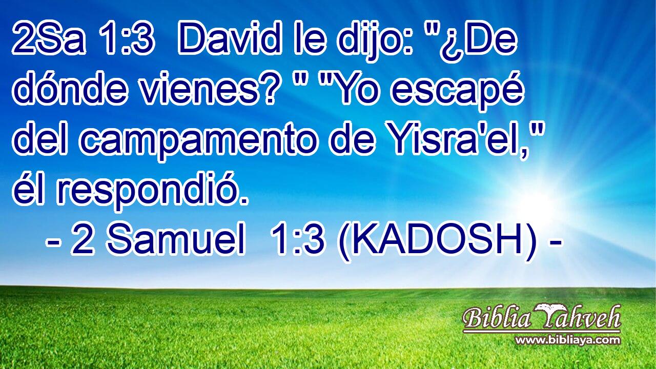  David le dijo: 