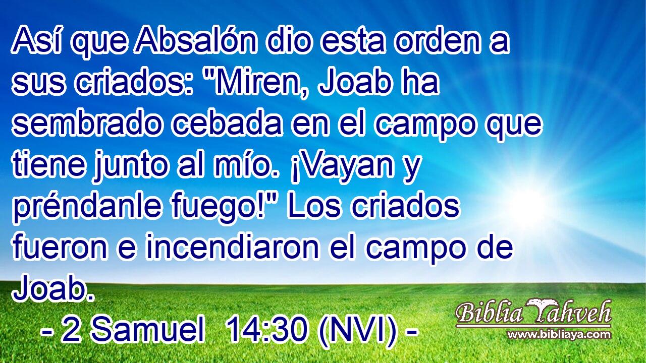  Así que Absalón dio esta orden a sus criados: 
