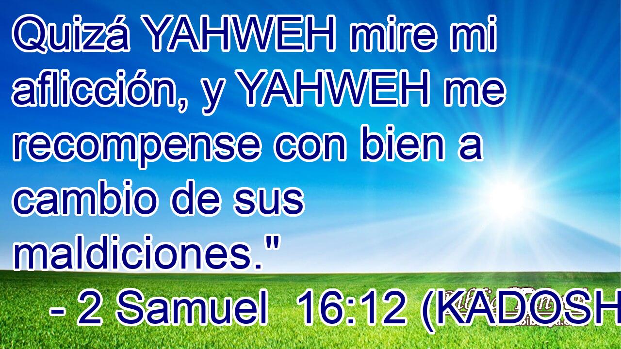  Quizá YAHWEH mire mi aflicción, y YAHWEH me recompense con bien a cambio de sus maldiciones.