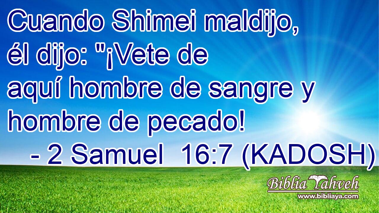  Cuando Shimei maldijo, él dijo: 