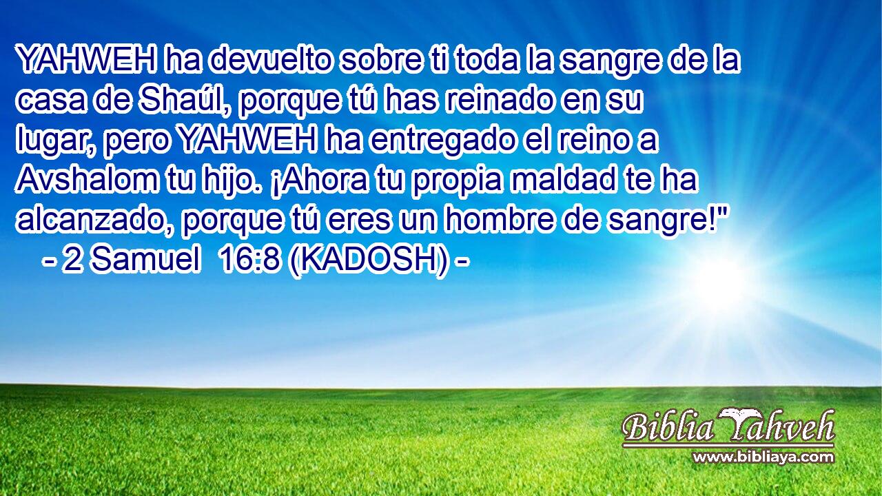  YAHWEH ha devuelto sobre ti toda la sangre de la casa de Shaúl, porque tú has reinado en su lugar, pero YAHWEH ha entregado el reino a Avshalom tu hijo. ¡Ahora tu propia maldad te ha alcanzado, porque tú eres un hombre de sangre!
