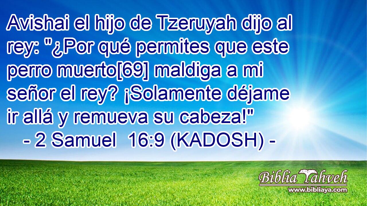  Avishai el hijo de Tzeruyah dijo al rey: 