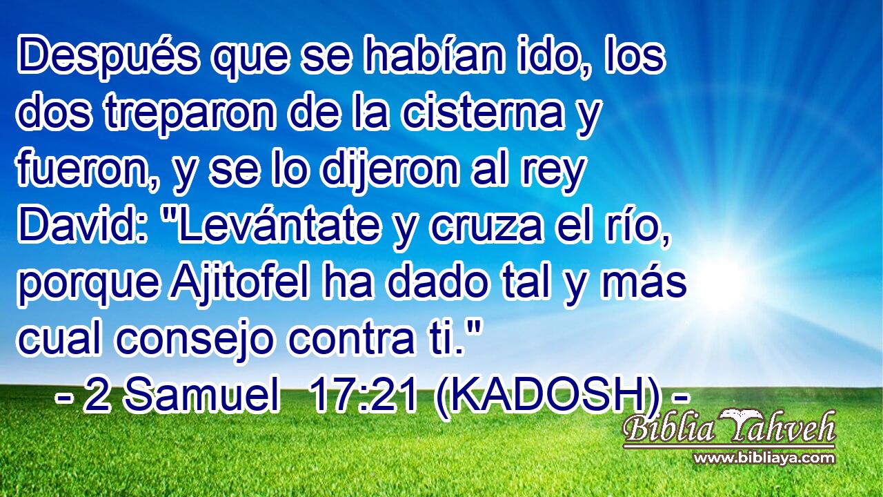  Después que se habían ido, los dos treparon de la cisterna y fueron, y se lo dijeron al rey David: 