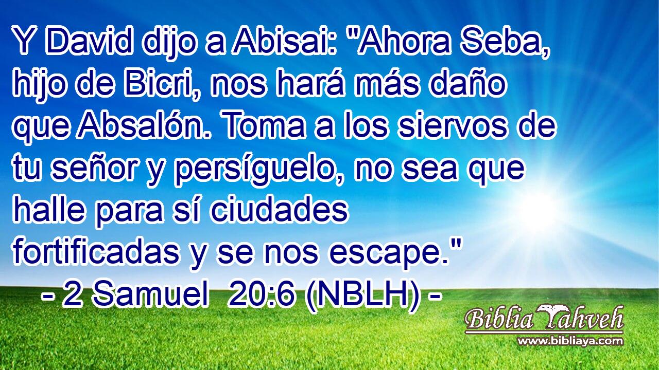  Y David dijo a Abisai: 