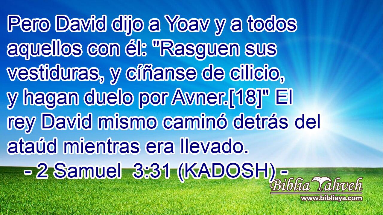  Pero David dijo a Yoav y a todos aquellos con él: 