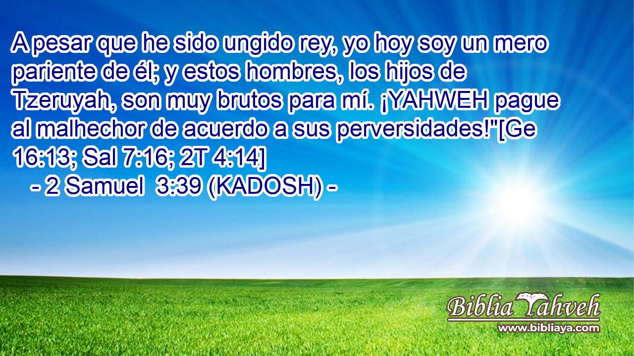  A pesar que he sido ungido rey, yo hoy soy un mero pariente de él; y estos hombres, los hijos de Tzeruyah, son muy brutos para mí. ¡YAHWEH pague al malhechor de acuerdo a sus perversidades!