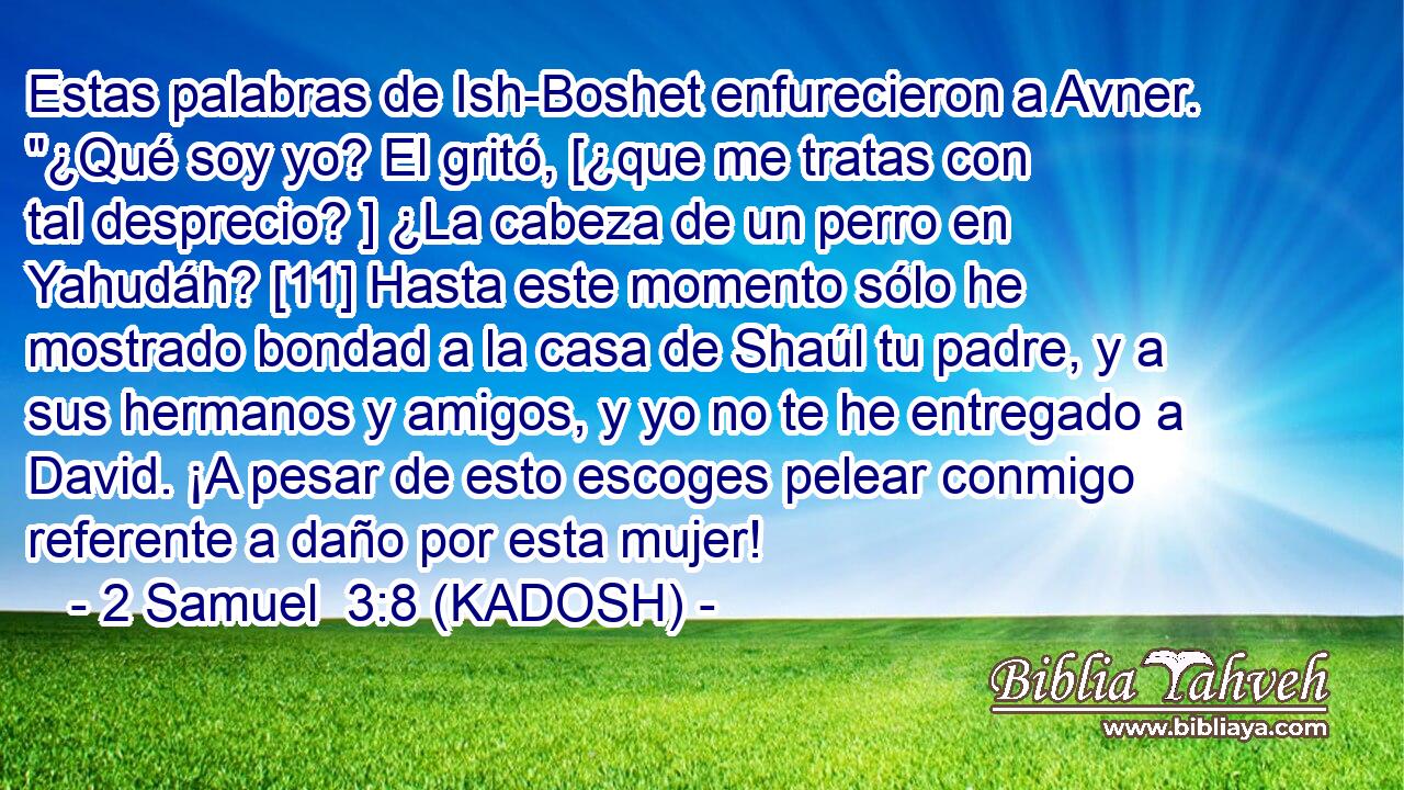  Estas palabras de Ish-Boshet enfurecieron a Avner. 