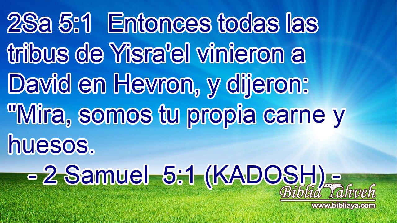  Entonces todas las tribus de Yisra'el vinieron a David en Hevron, y dijeron: 