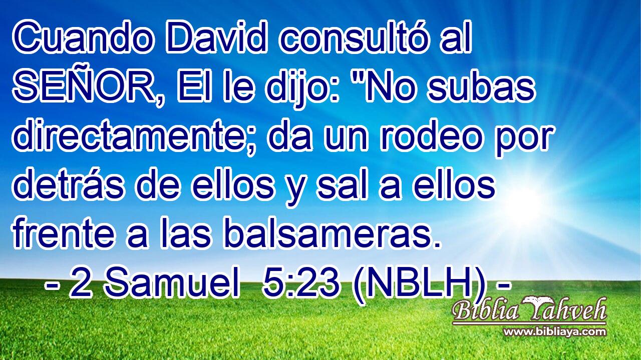 Cuando David consultó al SEÑOR, El le dijo: 
