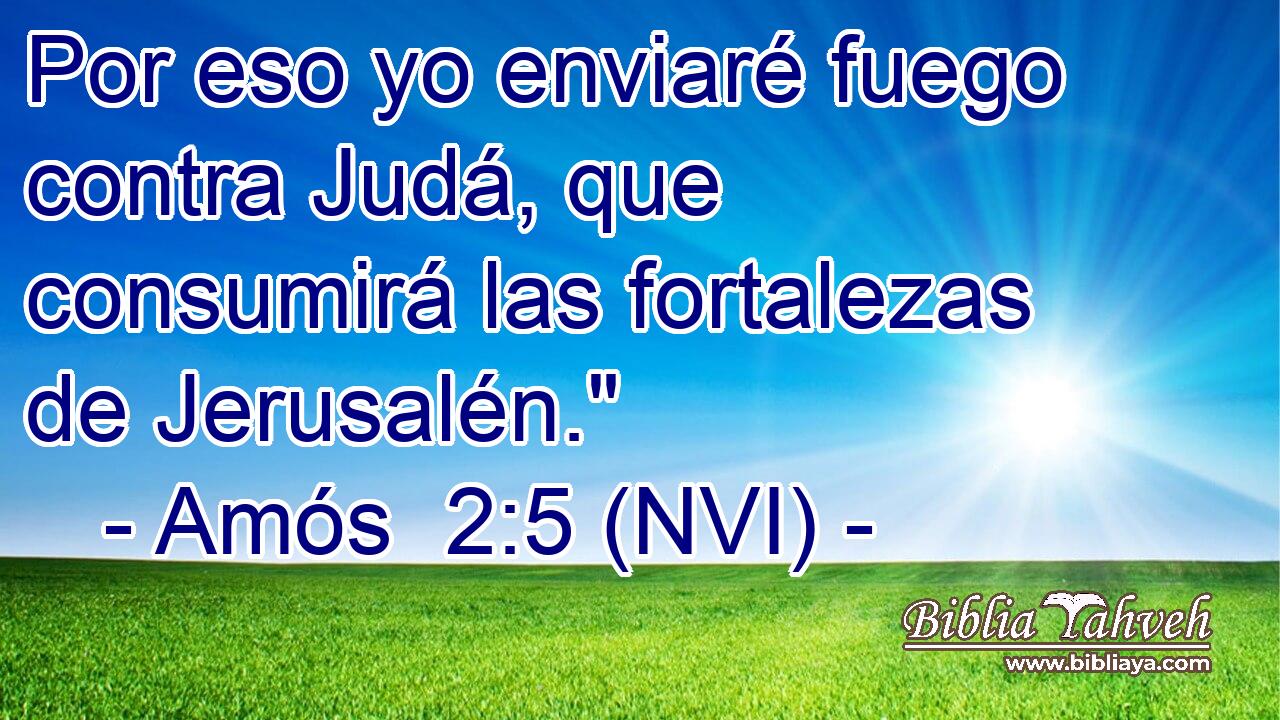  Por eso yo enviaré fuego contra Judá, que consumirá las fortalezas de Jerusalén.