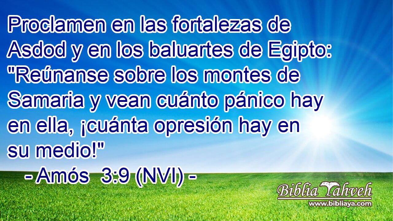  Proclamen en las fortalezas de Asdod y en los baluartes de Egipto: 