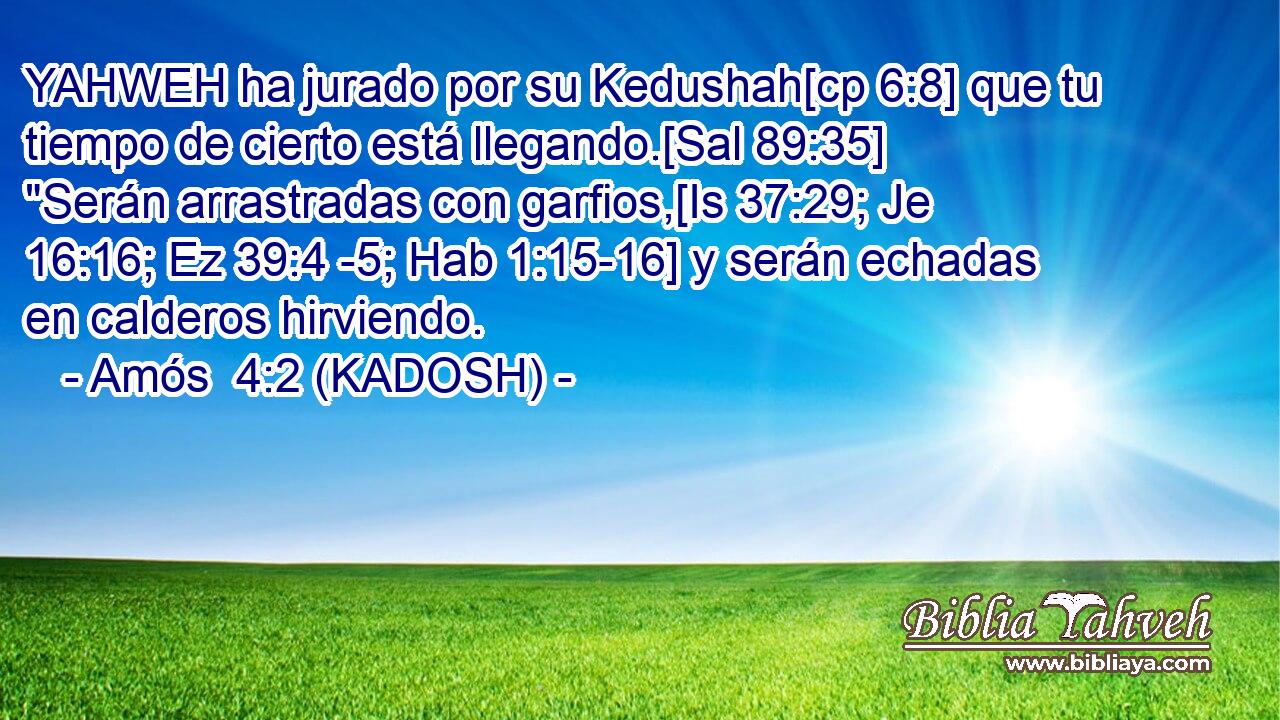  YAHWEH ha jurado por su Kedushah[cp 6:8] que tu tiempo de cierto está llegando.[Sal 89:35] 