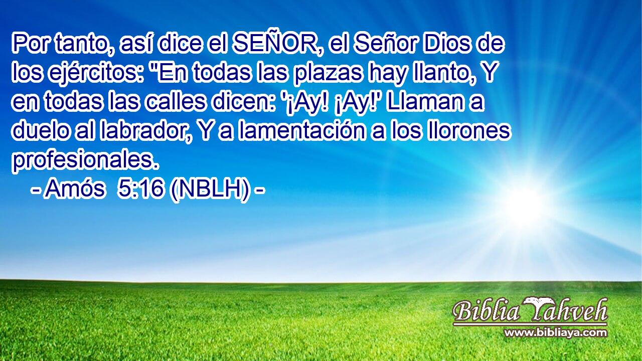  Por tanto, así dice el SEÑOR, el Señor Dios de los ejércitos: 