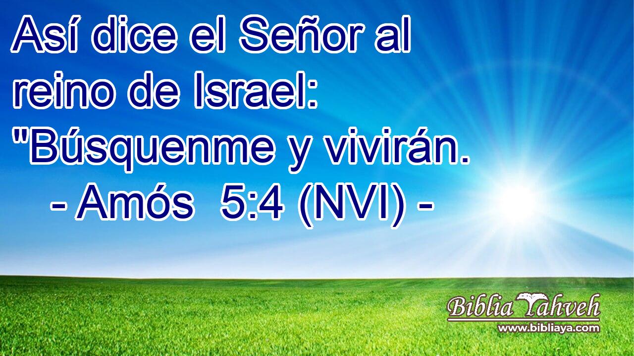 Así dice el Señor al reino de Israel: 