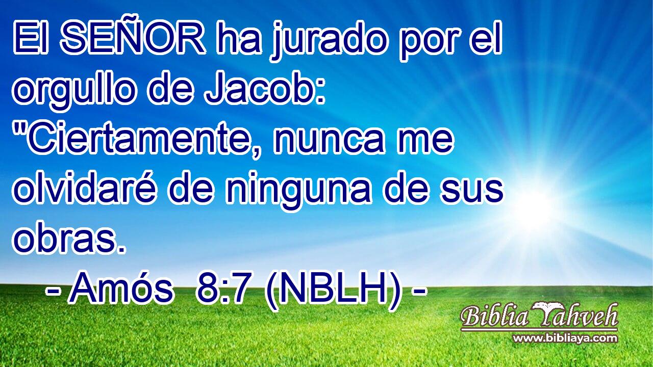  El SEÑOR ha jurado por el orgullo de Jacob: 
