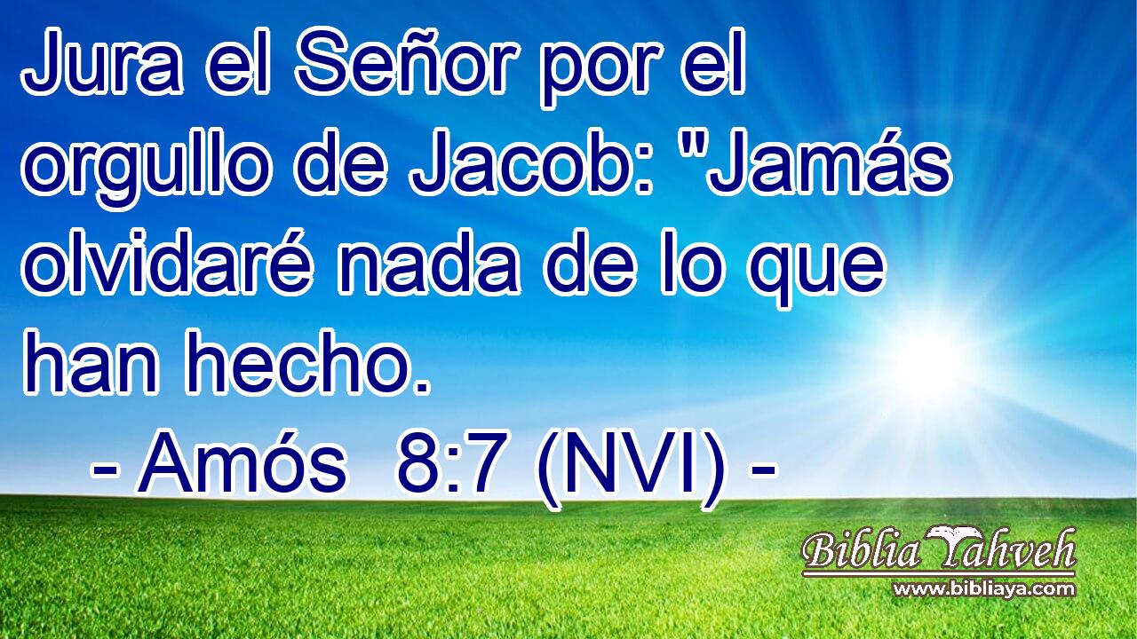  Jura el Señor por el orgullo de Jacob: 