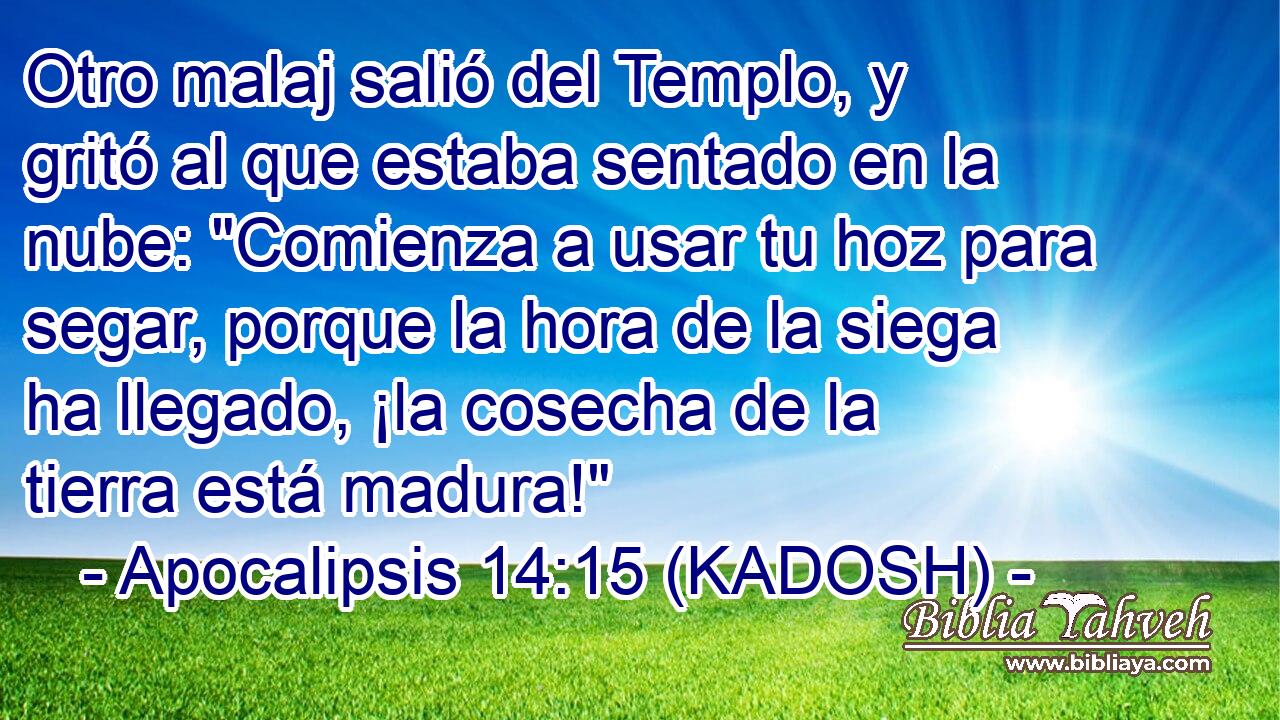  Otro malaj salió del Templo, y gritó al que estaba sentado en la nube: 