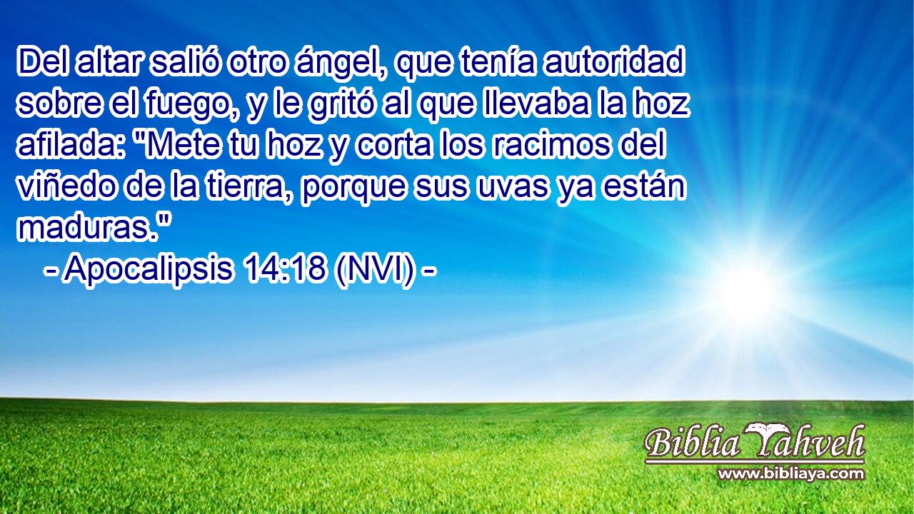  Del altar salió otro ángel, que tenía autoridad sobre el fuego, y le gritó al que llevaba la hoz afilada: 