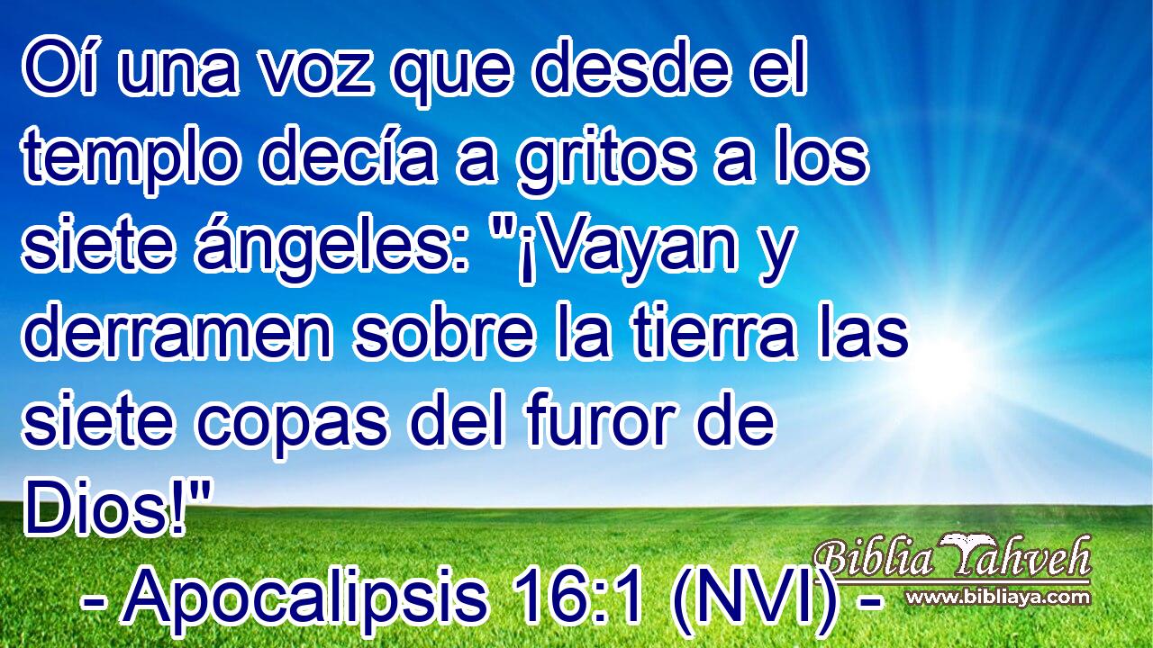  Oí una voz que desde el templo decía a gritos a los siete ángeles: 