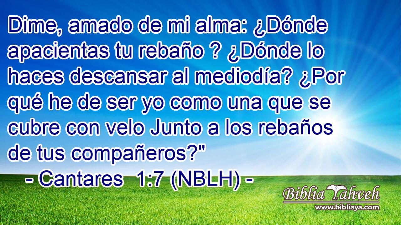  Dime, amado de mi alma: ¿Dónde apacientas tu rebaño ? ¿Dónde lo haces descansar al mediodía? ¿Por qué he de ser yo como una que se cubre con velo Junto a los rebaños de tus compañeros?