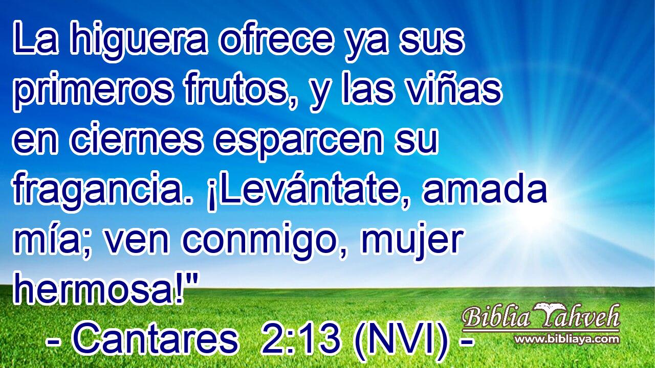 La higuera ofrece ya sus primeros frutos, y las viñas en ciernes esparcen su fragancia. ¡Levántate, amada mía; ven conmigo, mujer hermosa!