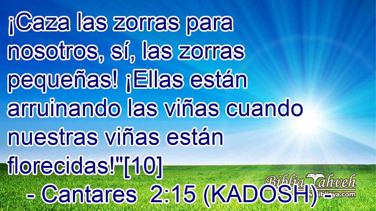 ¡Caza las zorras para nosotros, sí, las zorras pequeñas! ¡Ellas están arruinando las viñas cuando nuestras viñas están florecidas!