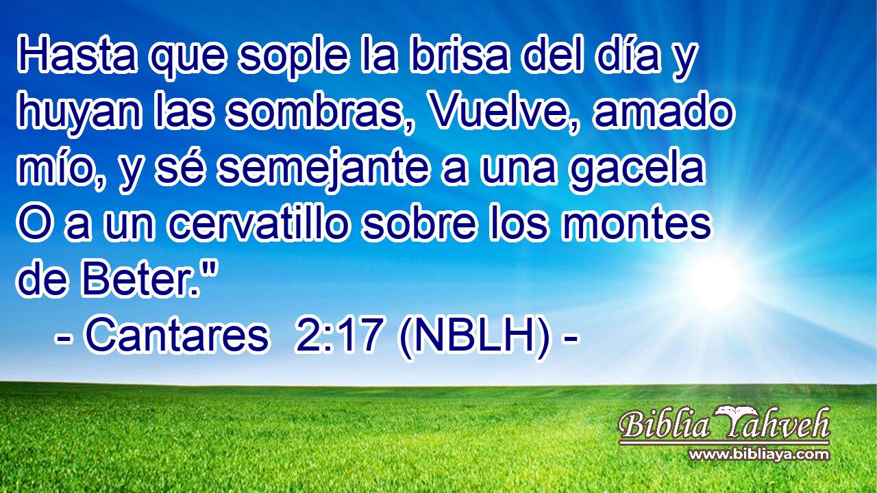  Hasta que sople la brisa del día y huyan las sombras, Vuelve, amado mío, y sé semejante a una gacela O a un cervatillo sobre los montes de Beter.