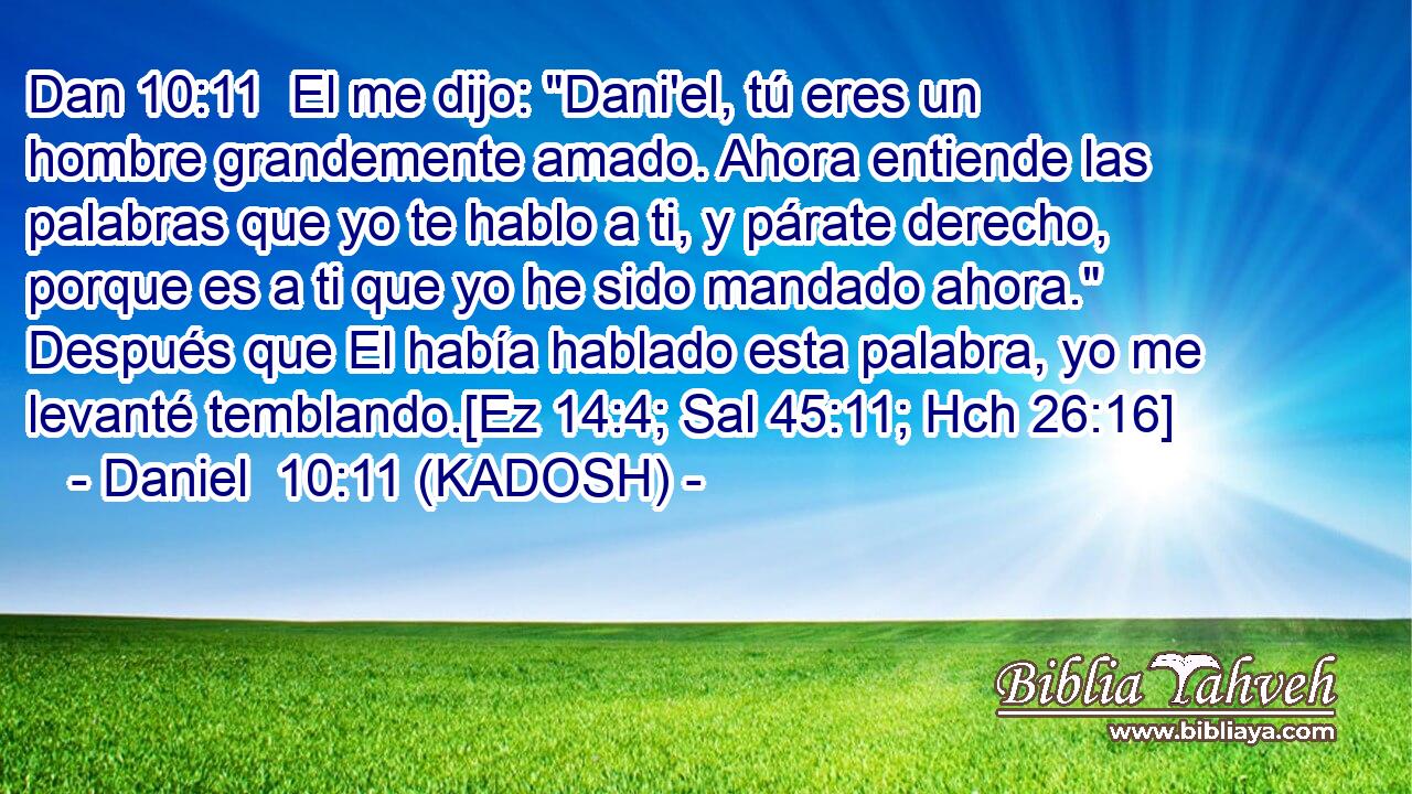  El me dijo: 