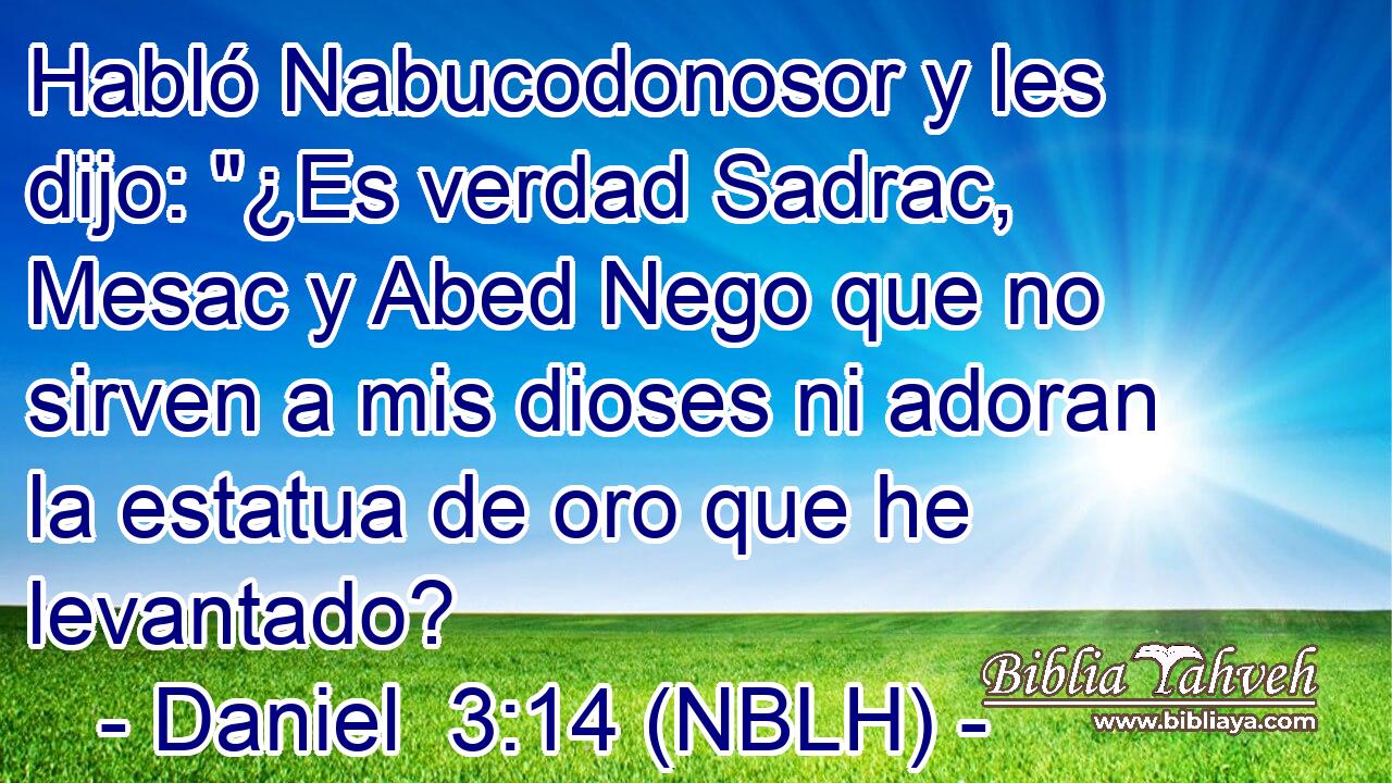  Habló Nabucodonosor y les dijo: 