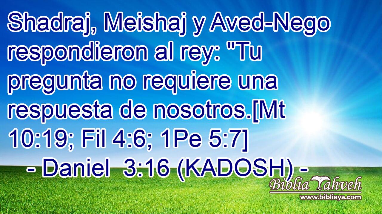  Shadraj, Meishaj y Aved-Nego respondieron al rey: 
