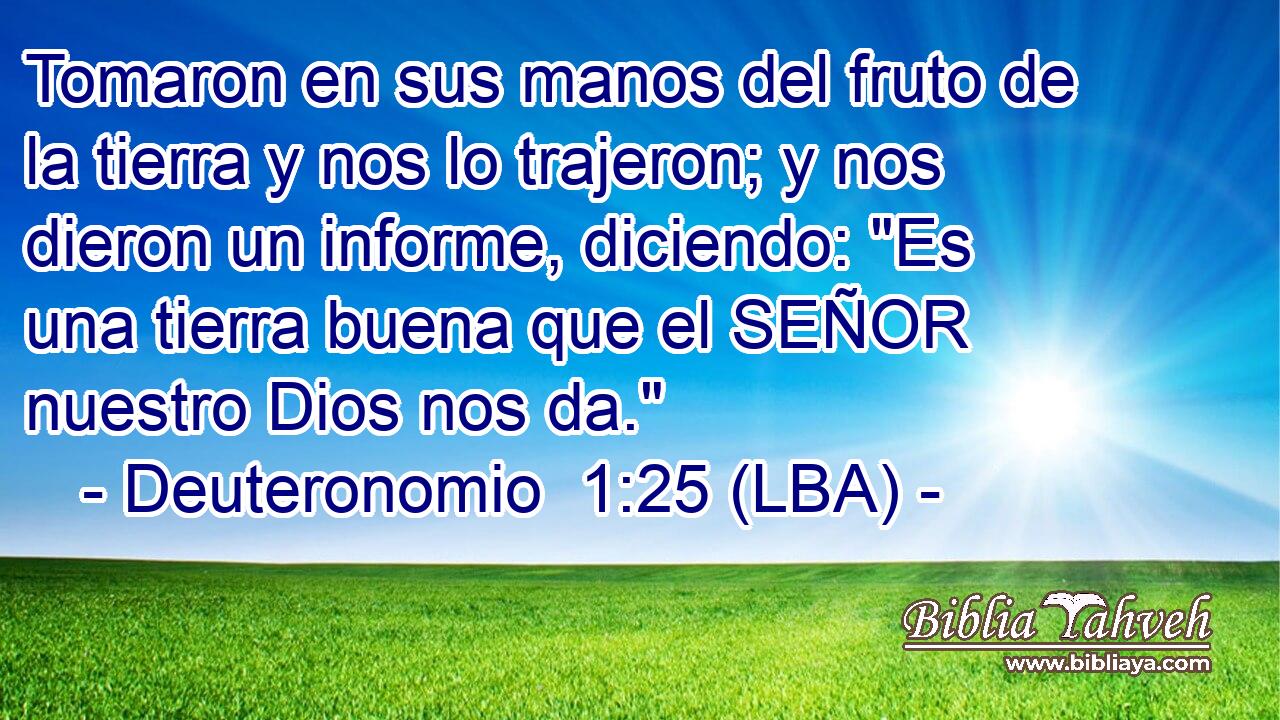 Tomaron en sus manos del fruto de la tierra y nos lo trajeron; y nos dieron un informe, diciendo: 