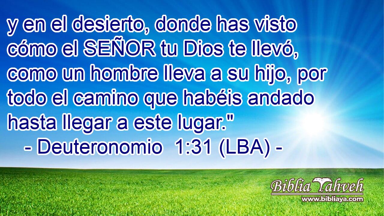 y en el desierto, donde has visto cómo el SEÑOR tu Dios te llevó, como un hombre lleva a su hijo, por todo el camino que habéis andado hasta llegar a este lugar.