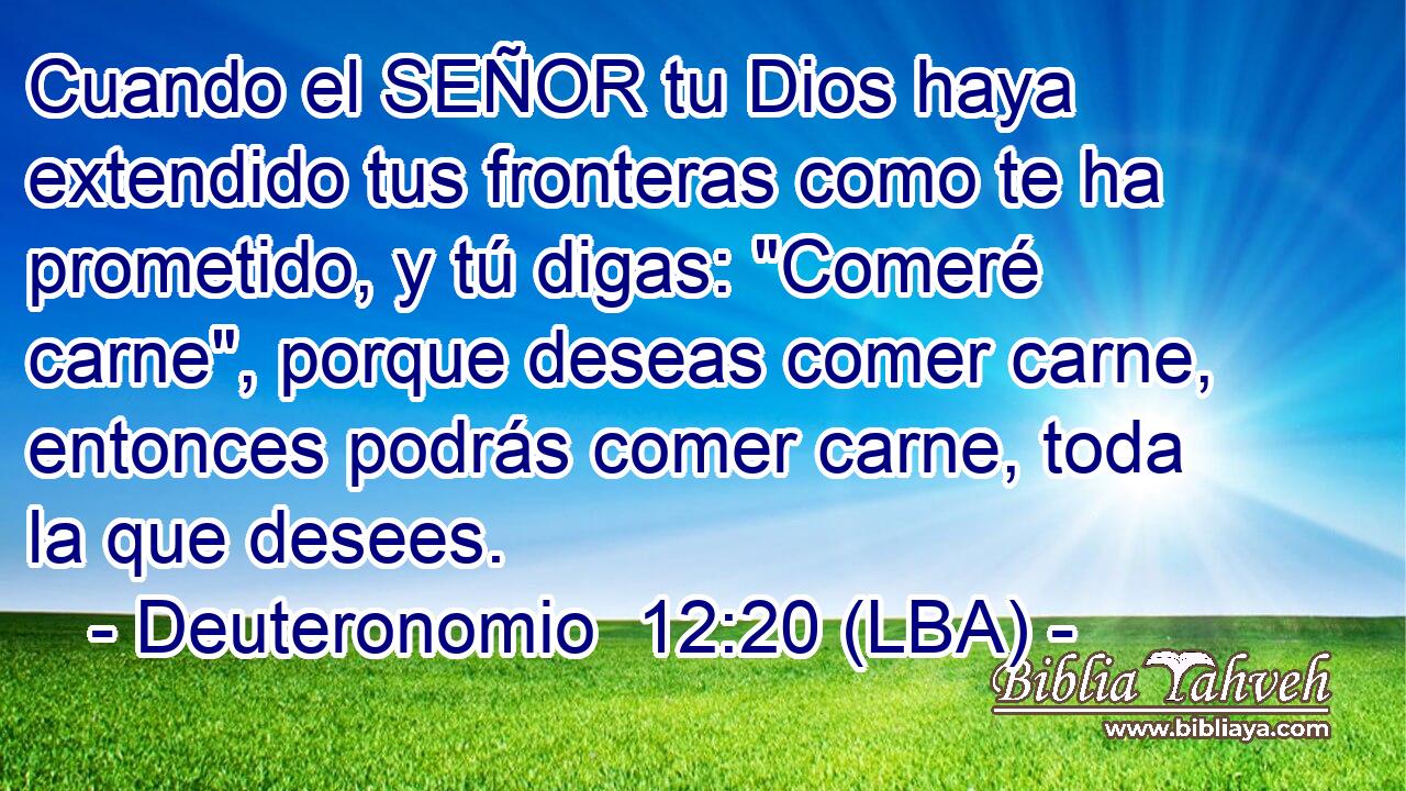 Cuando el SEÑOR tu Dios haya extendido tus fronteras como te ha prometido, y tú digas: 