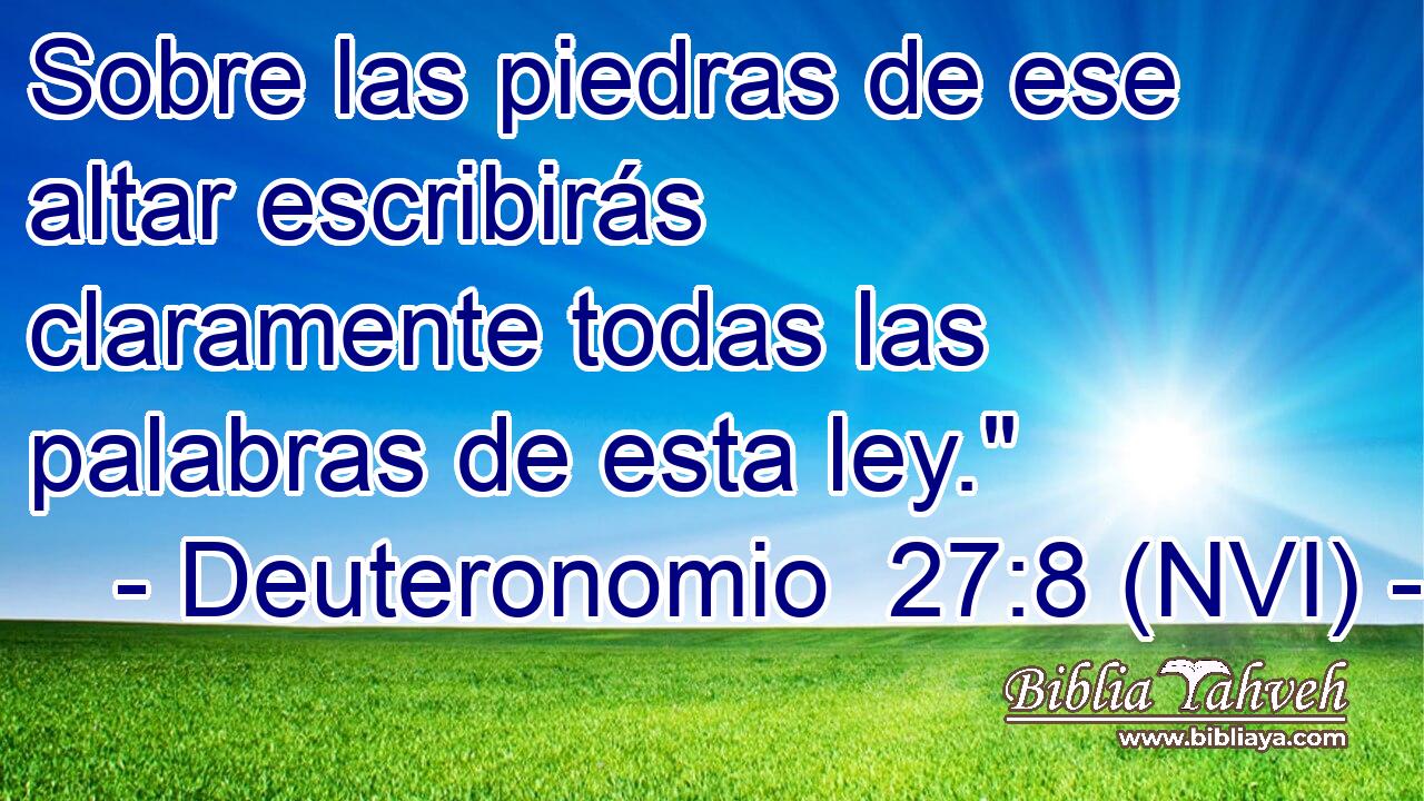  Sobre las piedras de ese altar escribirás claramente todas las palabras de esta ley.