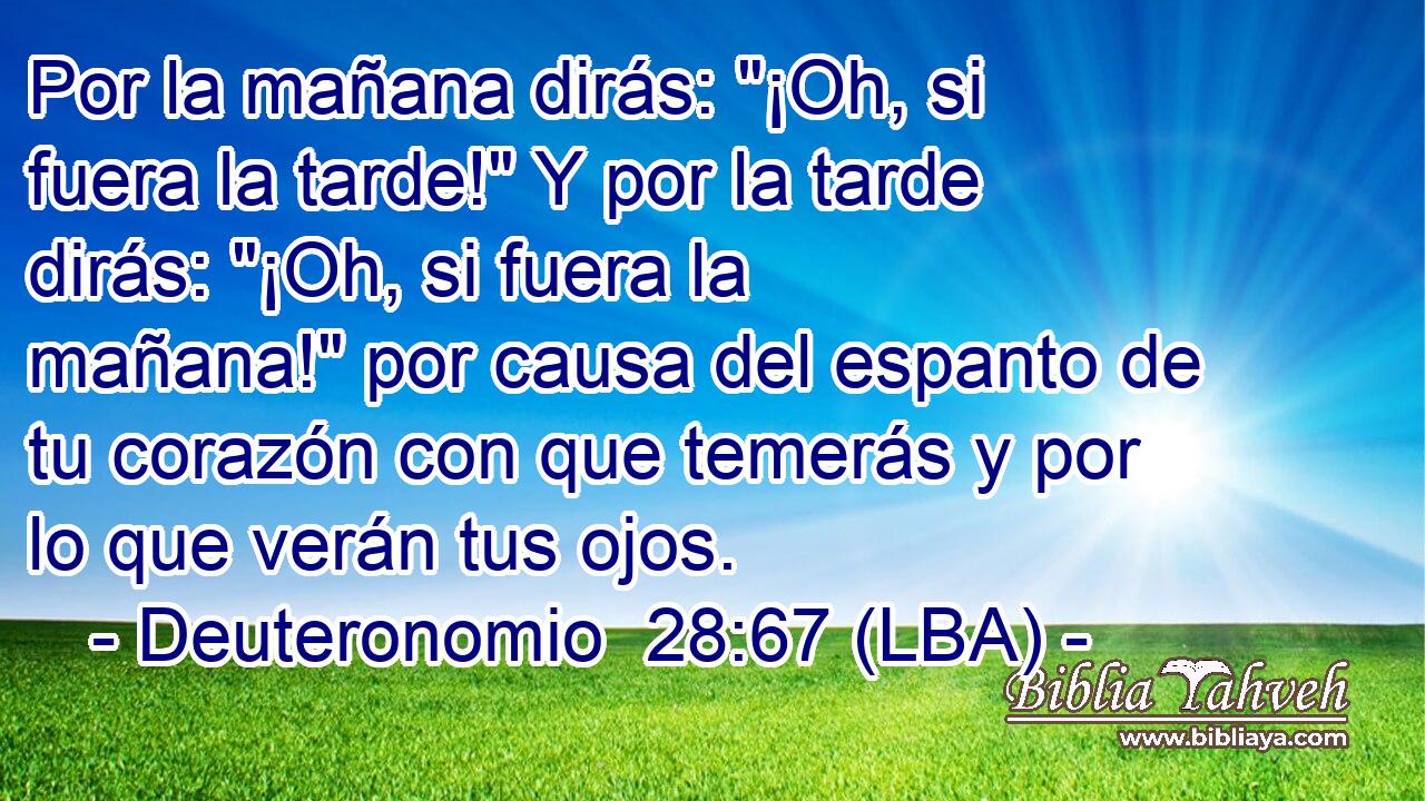 Por la mañana dirás: 