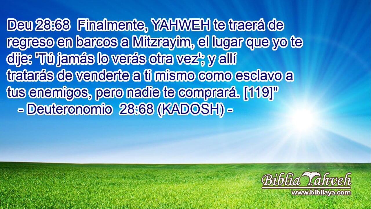  Finalmente, YAHWEH te traerá de regreso en barcos a Mitzrayim, el lugar que yo te dije: 'Tú jamás lo verás otra vez'; y allí tratarás de venderte a ti mismo como esclavo a tus enemigos, pero nadie te comprará. [119]