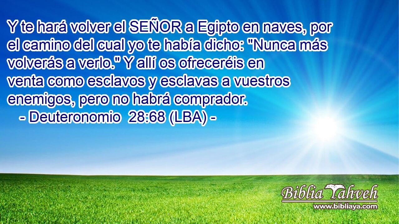 Y te hará volver el SEÑOR a Egipto en naves, por el camino del cual yo te había dicho: 