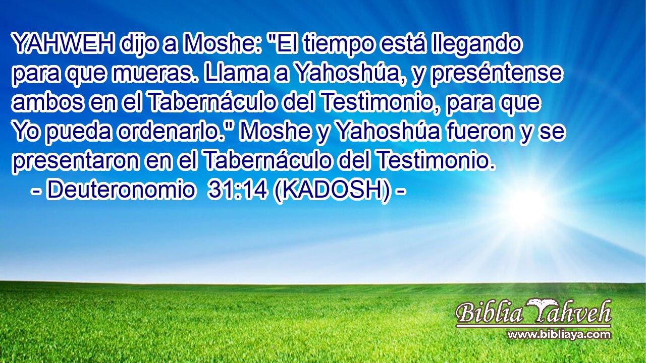  YAHWEH dijo a Moshe: 