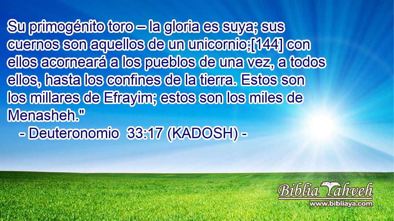  Su primogénito toro – la gloria es suya; sus cuernos son aquellos de un unicornio;[144] con ellos acorneará a los pueblos de una vez, a todos ellos, hasta los confines de la tierra. Estos son los millares de Efrayim; estos son los miles de Menasheh.