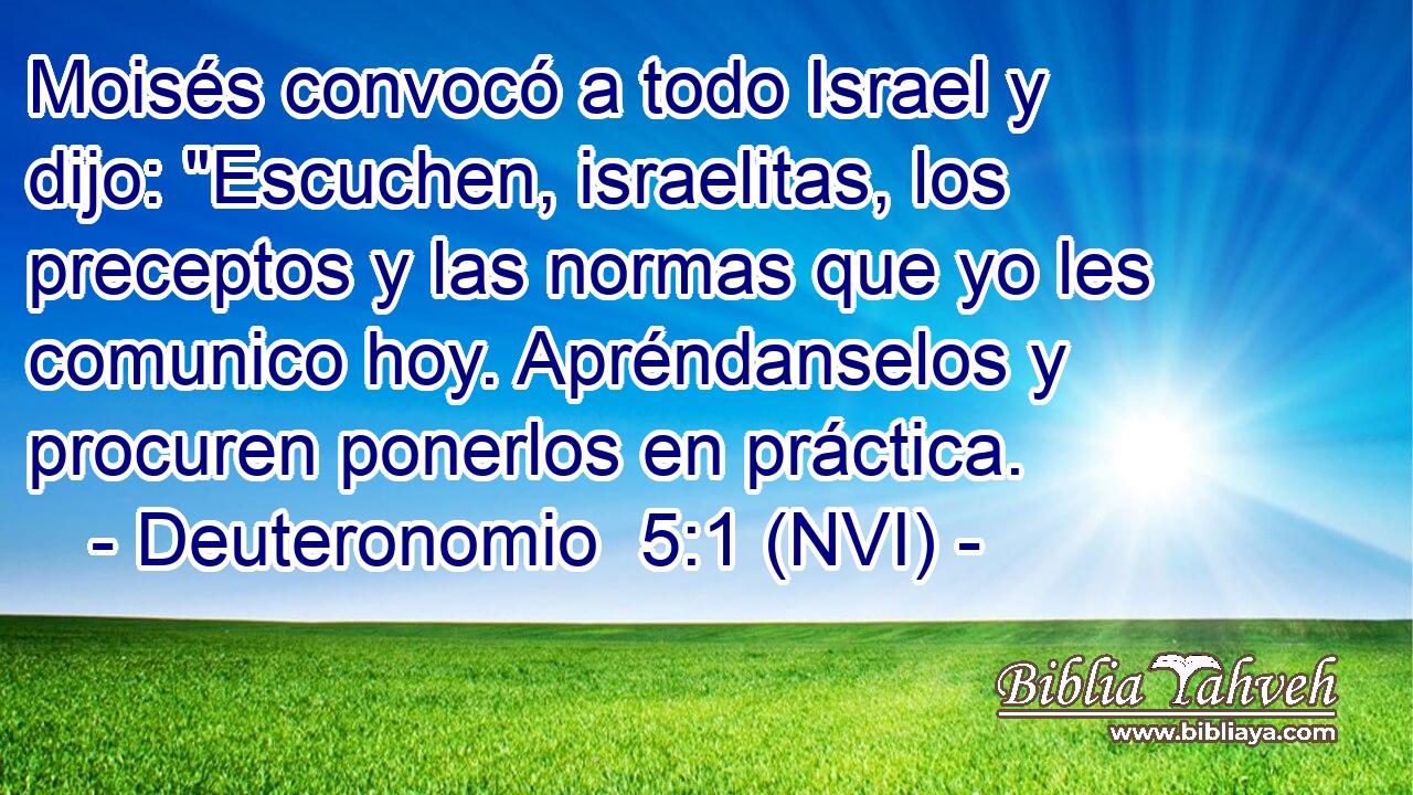  Moisés convocó a todo Israel y dijo: 