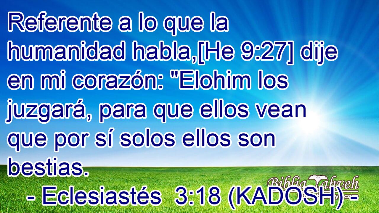  Referente a lo que la humanidad habla,[He 9:27] dije en mi corazón: 