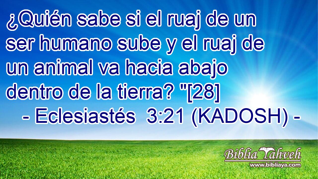  ¿Quién sabe si el ruaj de un ser humano sube y el ruaj de un animal va hacia abajo dentro de la tierra? 