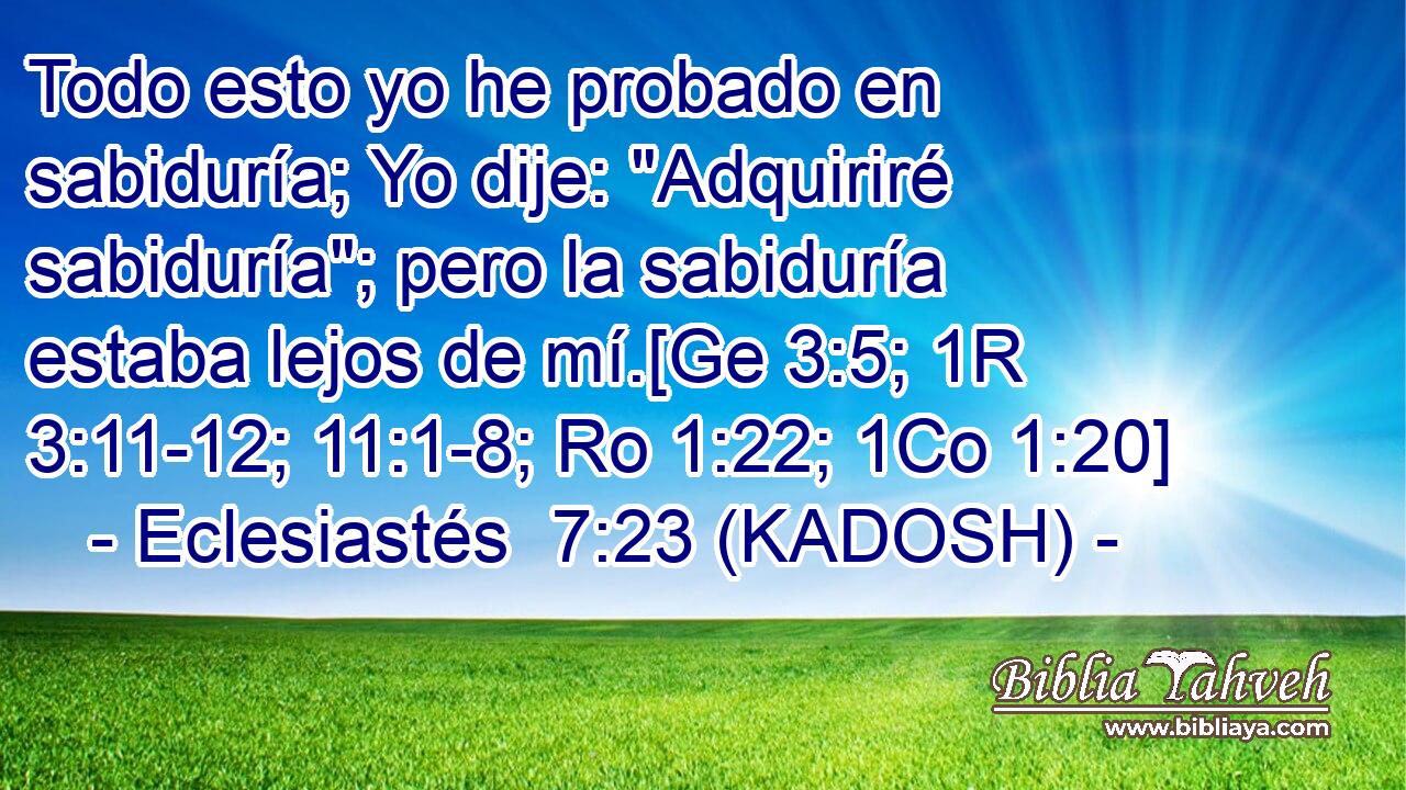 Todo esto yo he probado en sabiduría; Yo dije: 