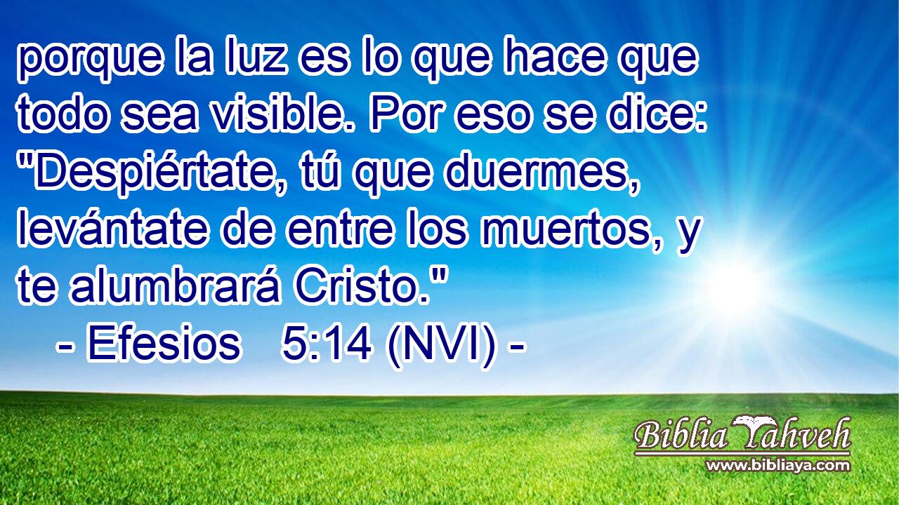  porque la luz es lo que hace que todo sea visible. Por eso se dice: 