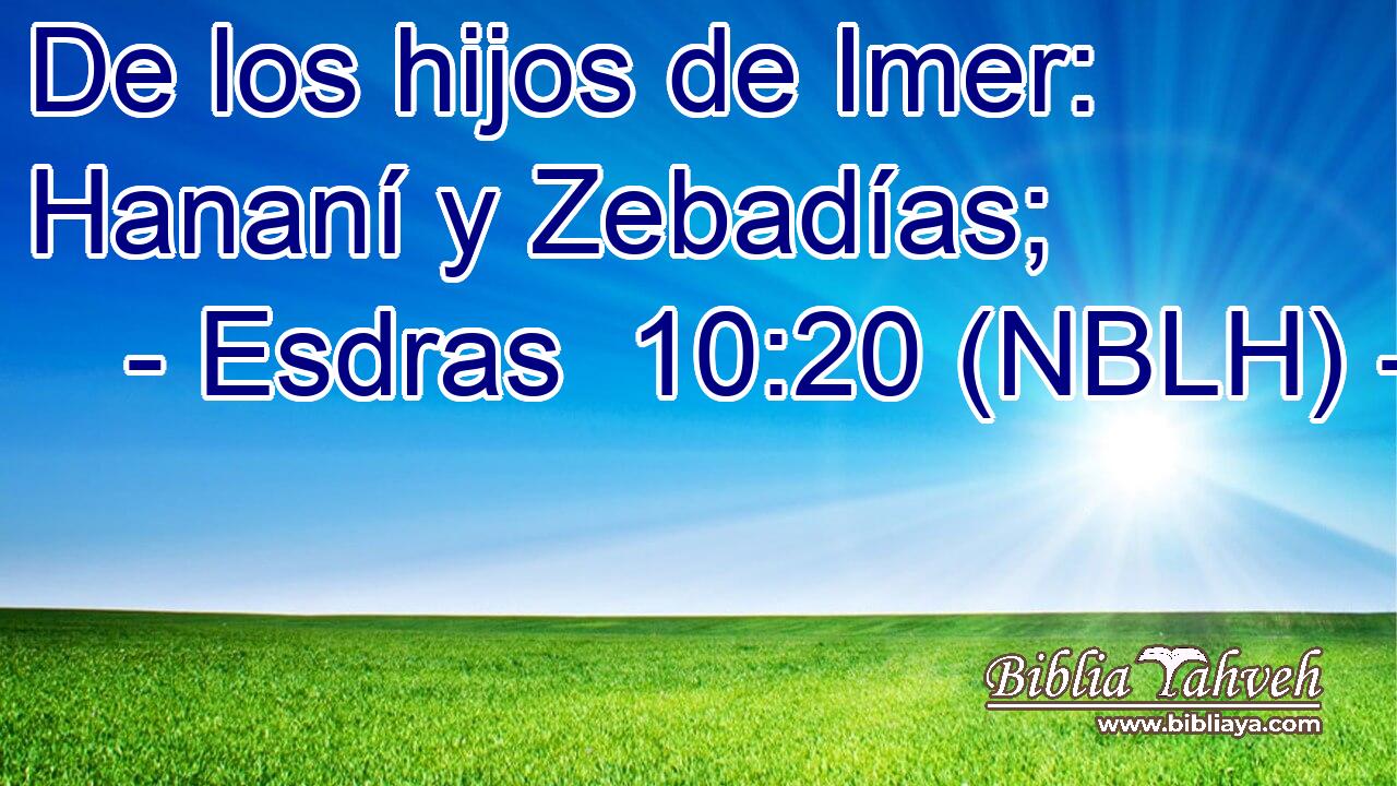  De los hijos de Imer: Hananí y Zebadías; 