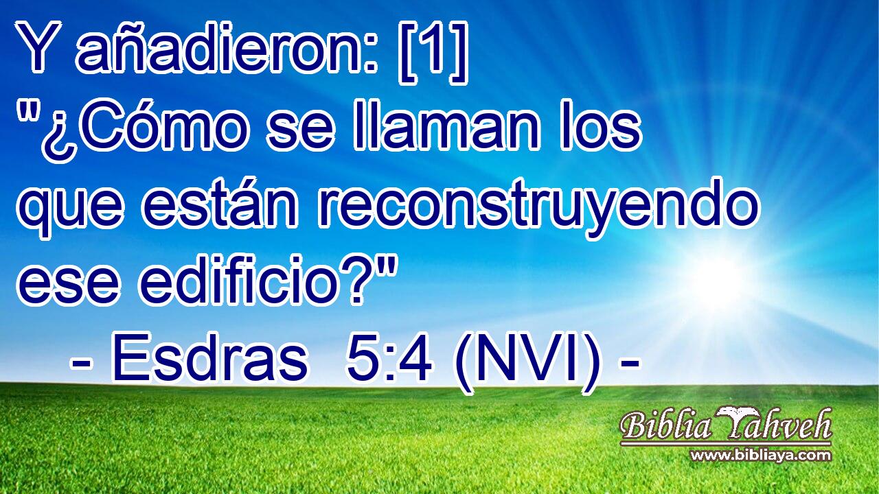  Y añadieron: [1] 