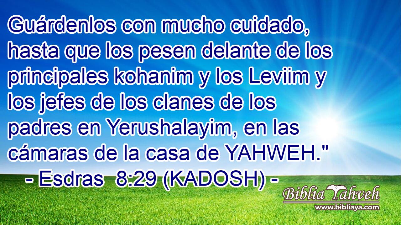  Guárdenlos con mucho cuidado, hasta que los pesen delante de los principales kohanim y los Leviim y los jefes de los clanes de los padres en Yerushalayim, en las cámaras de la casa de YAHWEH.
