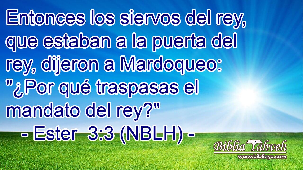  Entonces los siervos del rey, que estaban a la puerta del rey, dijeron a Mardoqueo: 
