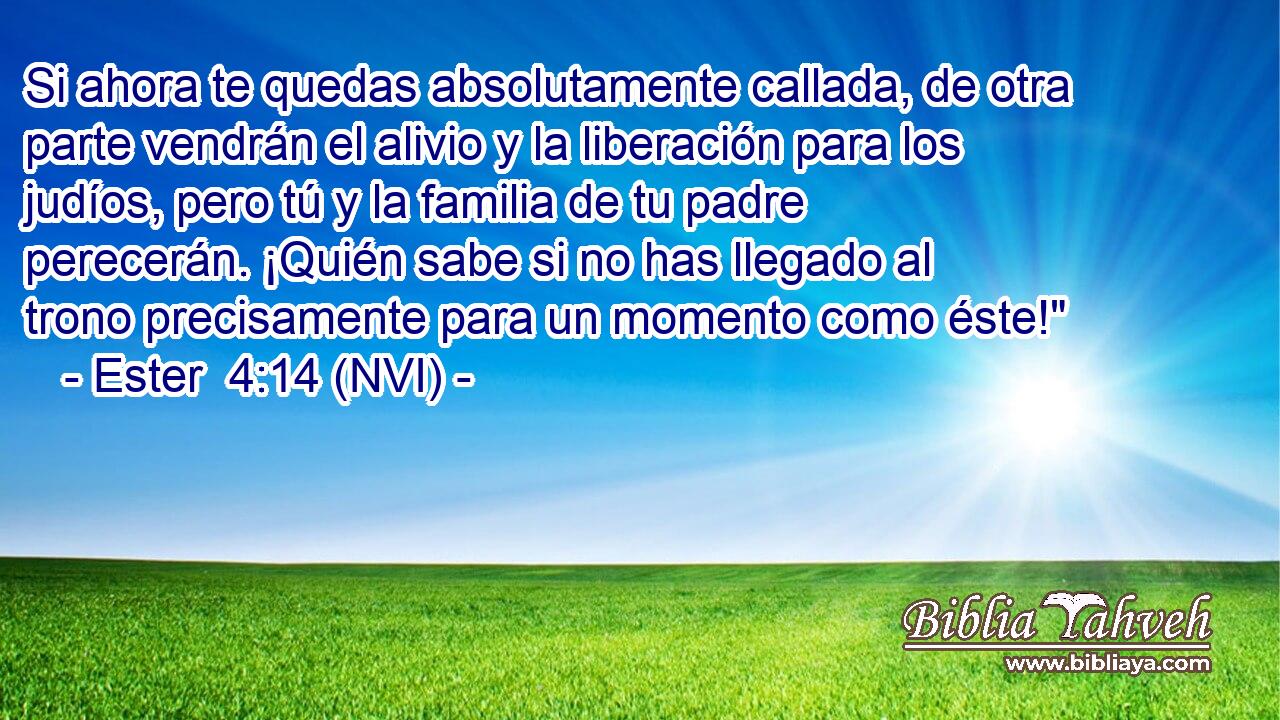 Si ahora te quedas absolutamente callada, de otra parte vendrán el alivio y la liberación para los judíos, pero tú y la familia de tu padre perecerán. ¡Quién sabe si no has llegado al trono precisamente para un momento como éste!